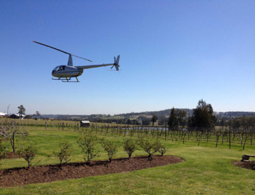 Helicopter Flights Hunter Valley